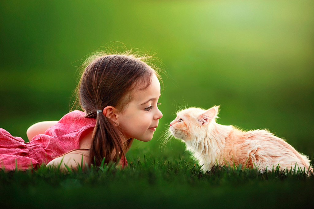 дети и животные: фелинотерапия