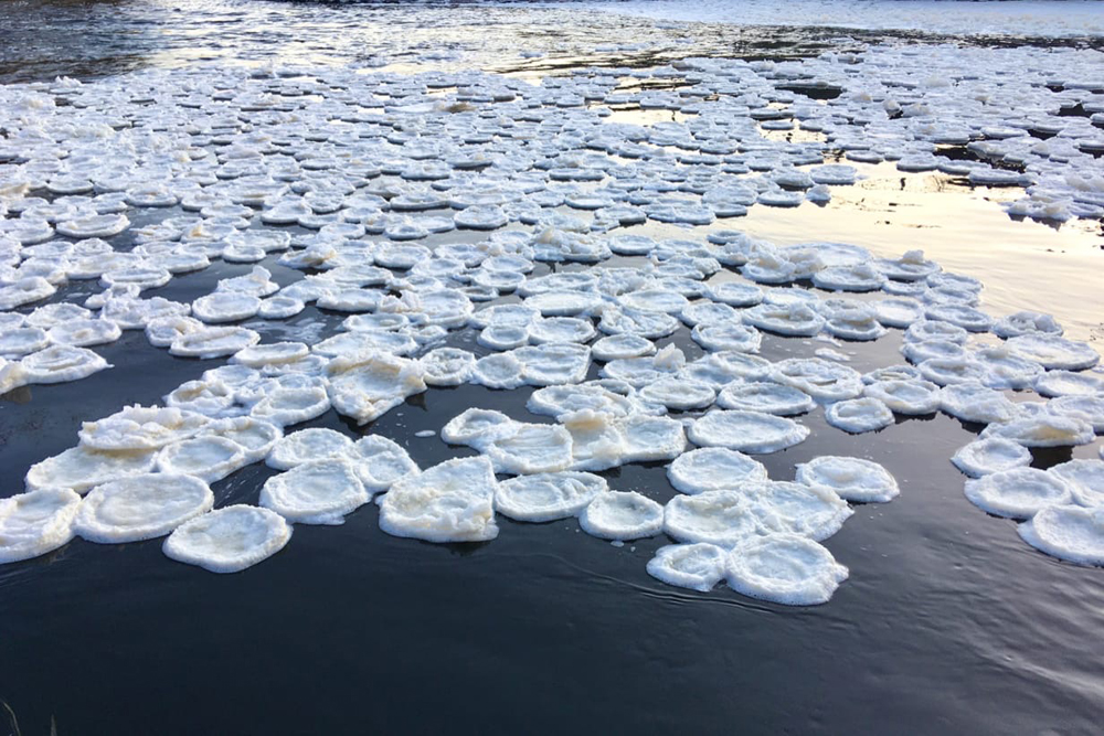 Вода выступающая на поверхность льда. Блинчатый лёд в Карелии. Ледяные блинчики в Рускеала. Блинчатый лед Ледовое явление. Блинчатый лед на реке.